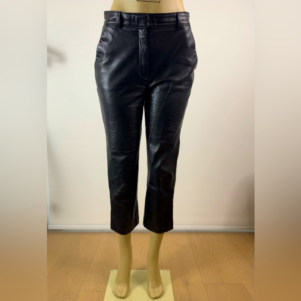 Aritzia Babaton Vegan Leather Pants